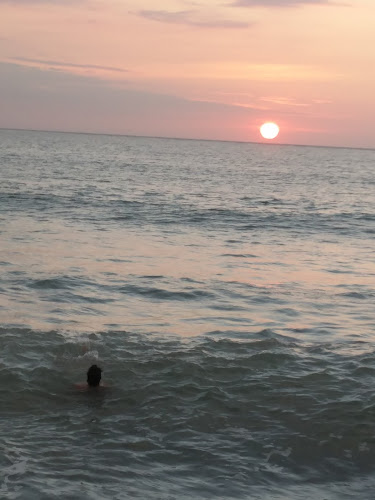 Restaurante Estrella del Mar - Gastronomía y hostelería