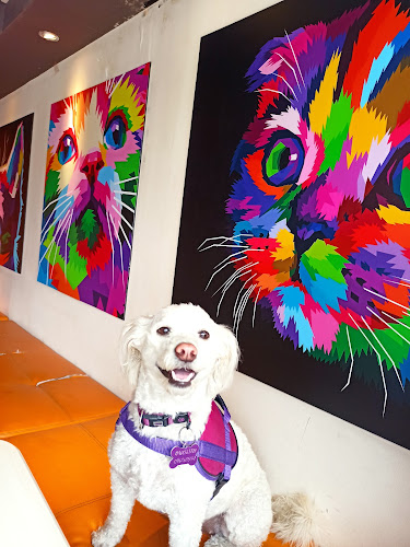 Av. Río Coca, Quito 170138