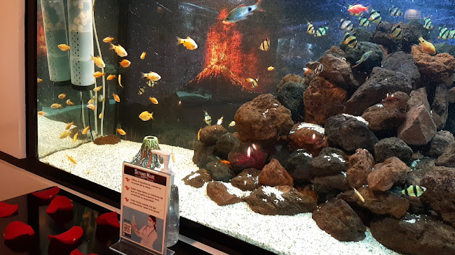 Settimo Mare - Quito