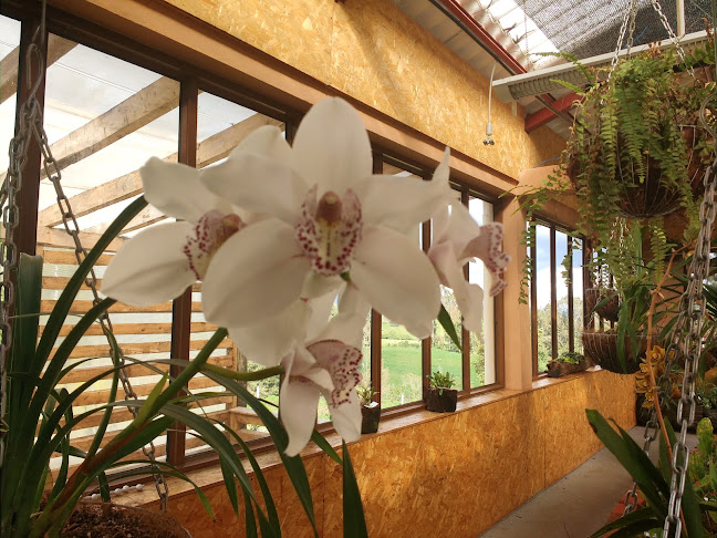 Comentarii opinii despre Granja del Burgay