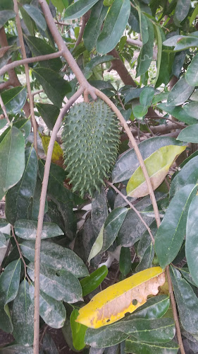 Finca Divino Niño - Gastronomía y hostelería