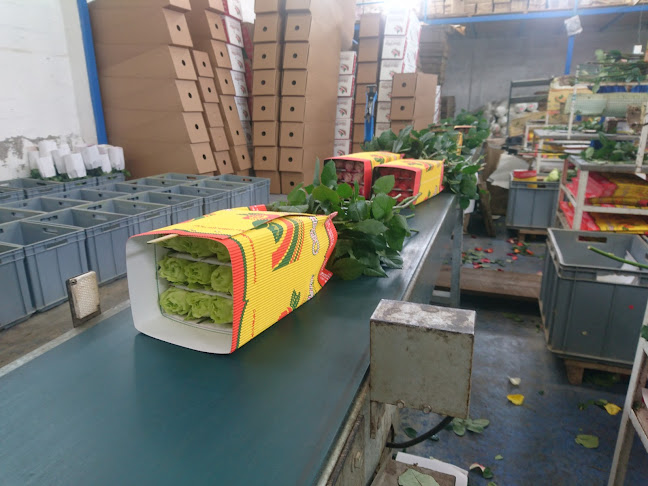 SANTA CLARA GARDENS - Gastronomía y hostelería