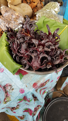 Mercado Puyo Sector Amazonico - Gastronomía y hostelería