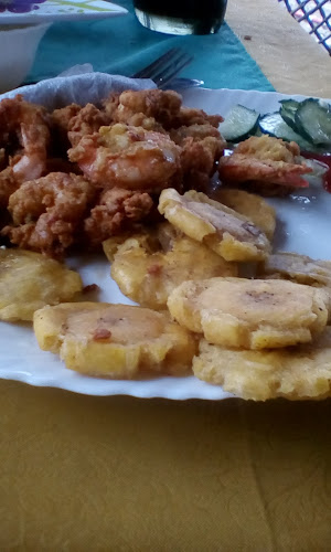 JCR5+XFJ, E483, Jipijapa