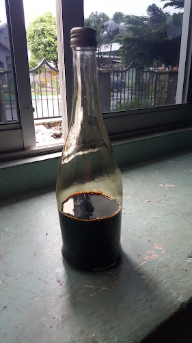 Mi Bella Estacion - Gastronomía y hostelería