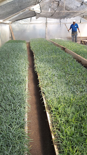 Agroquimicos Disagro - Gastronomía y hostelería