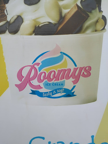 Roomys Ice Cream - Santa Rosa