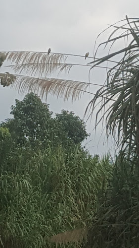 Opinii despre CAFFE MI ANGEL în Milagro - Gastronomía y hostelería