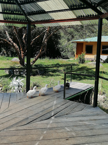 Comentarii opinii despre Hosteria Capillapamba