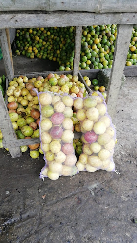 Ramada de los borrachos