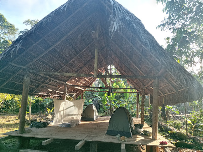 G238+2W8, Francisco de Orellana