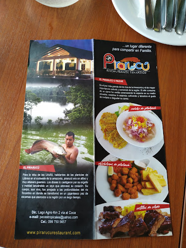 PIRARUCÚ - Gastronomía y hostelería