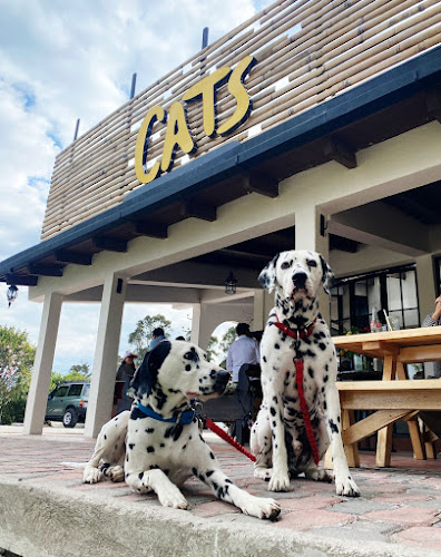 CATS Restaurante - Cumbayá
