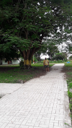 Restaurante El Pelican - Gastronomía y hostelería