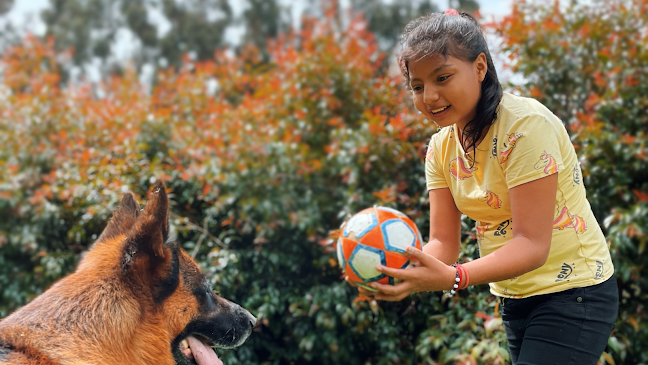 PXFX+5F Chivilín Zhiña, Nabón