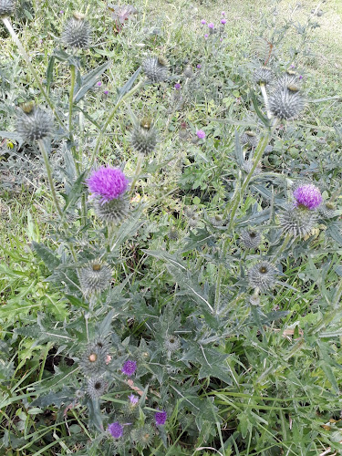 Opinii despre Cristiano în Ibarra - Gastronomía y hostelería