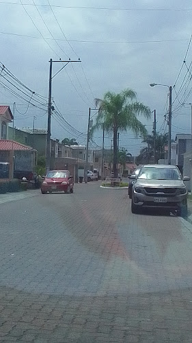 Opinii despre Esquina de Ale în Vínces - Gastronomía y hostelería