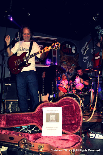 El Gato Gastrobar - Colimes