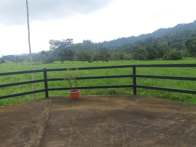 Mundo Lacteo (Paul Olsen) - Gastronomía y hostelería