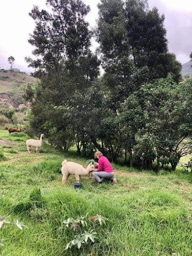 Comentarii opinii despre Closed