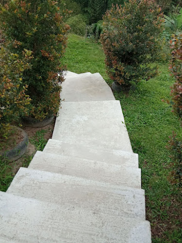 SALOYA FROGS (hospedaje) - Gastronomía y hostelería