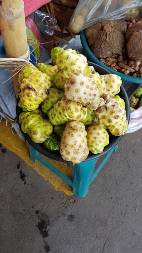 Mercado Puyo Sector Amazonico