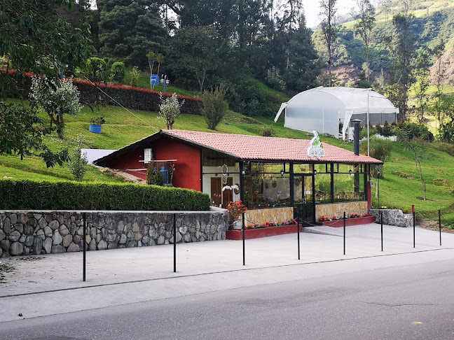 Comentarii opinii despre Cafe del grillo