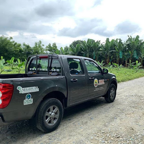 Comentarii opinii despre TOALSI