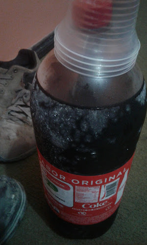 El Volcan Restaurante - Gastronomía y hostelería