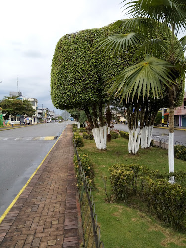 Cafeteria "San Miguel" - El Dorado de Cascales