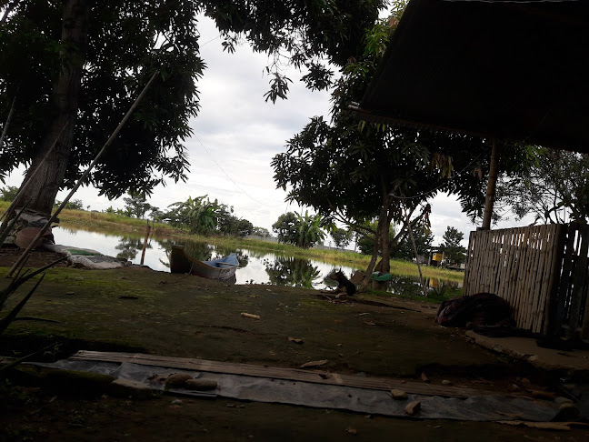 En Recinto LA Florida kasa