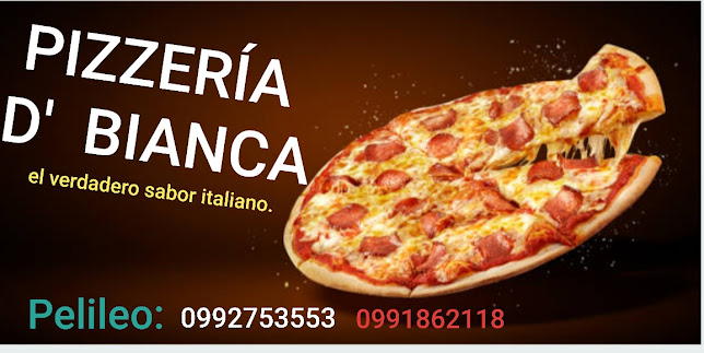 entre Ricaurte y Luis Larrea ( frente parada de buses Huambaló, Av. Quis Quis, Pelileo 180402