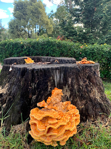 La Bendita - Chinchiloma - Quito