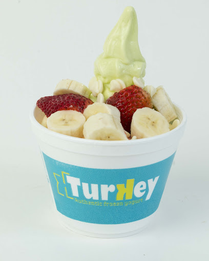 Turkey Frozen Yogurt