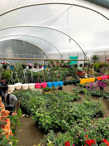 Comentarii opinii despre La Casa Vieja Restaurant