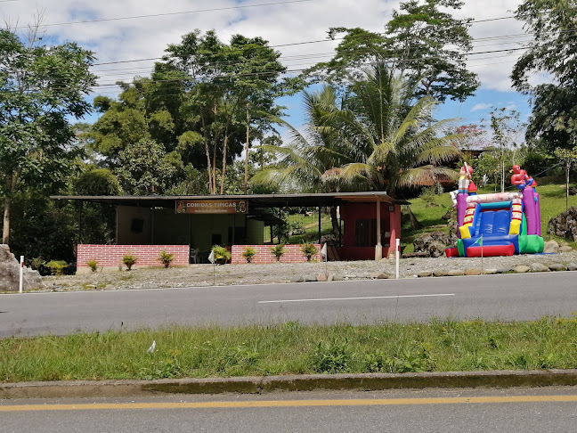Comidas típicas EL DESNIVEL DEL NEGRO - Puerto Napo