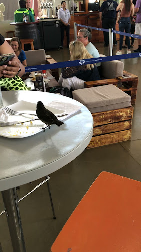 Opinii despre Pikero Express în Ambato - Gastronomía y hostelería