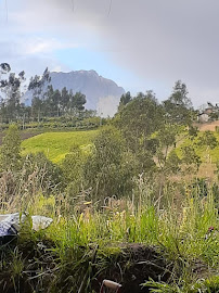 Comentarii opinii despre El Chozon de la Cascada