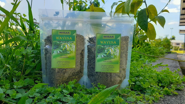 Comentarii opinii despre Asociación Wiñak