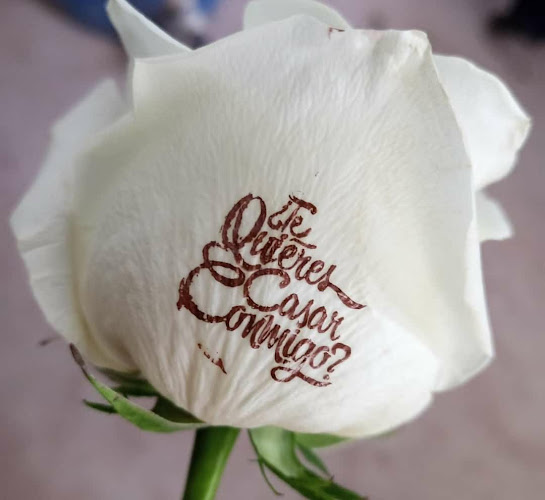 Opinii despre Luxury Flowers Luxflower S.A. în Latacunga - Gastronomía y hostelería