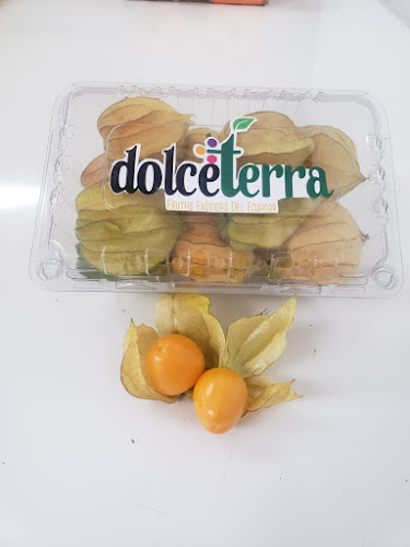 Dolceterra