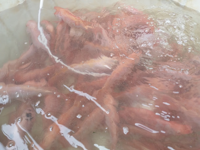 Cabaña Restaurant D,Agapito - Palestina