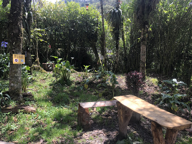 Comentarii opinii despre El Alisar, Cafeteria