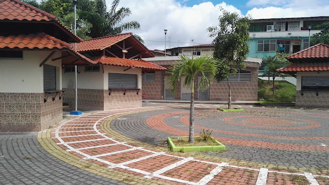 VENTA DE CONCHA al por mayor - San Lorenzo