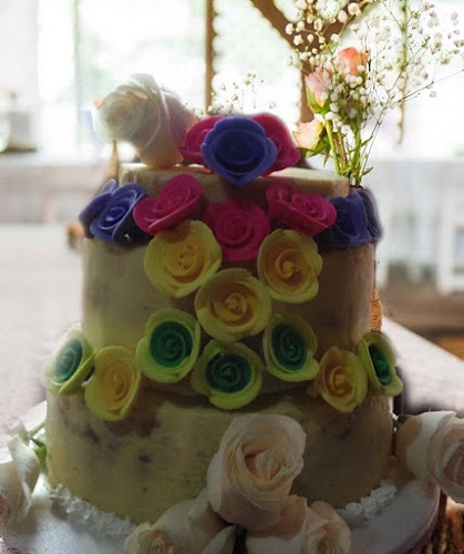 C. Olmedo 903 y, Guaranda