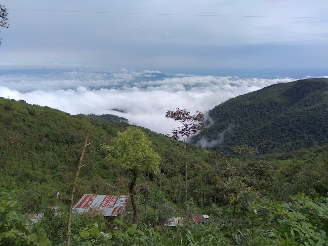Restaurant Brisa Costanera - Gastronomía y hostelería