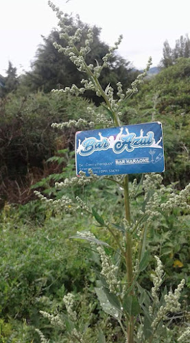 Bar Karaoke