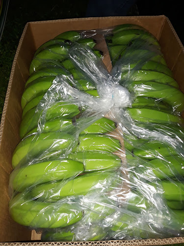 Opinii despre Campamento regar în Ventanas - Gastronomía y hostelería