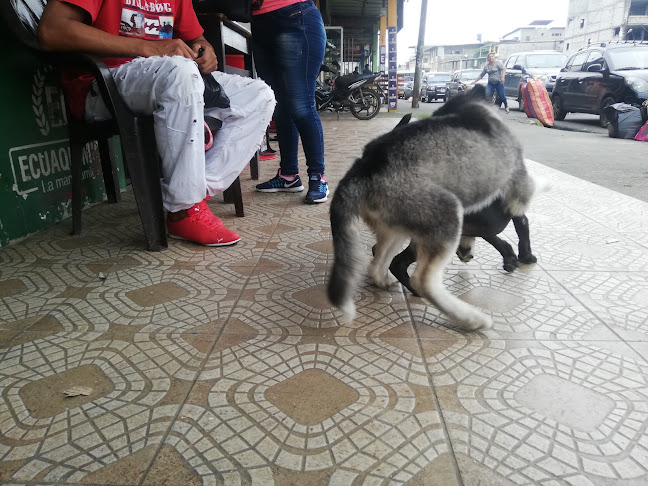 C. Juan Montalvo, Quevedo