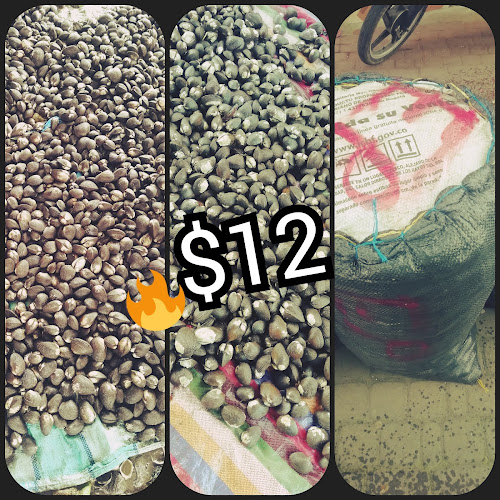 Opinii despre VENTA DE CONCHA al por mayor în San Lorenzo - Gastronomía y hostelería